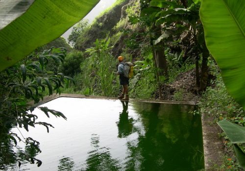 betaecotour santo antao cabo verde (12)