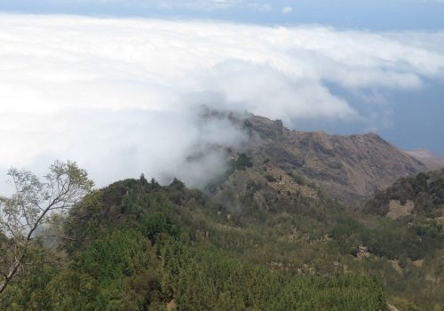 betaecotour santo antao cabo verde (18)